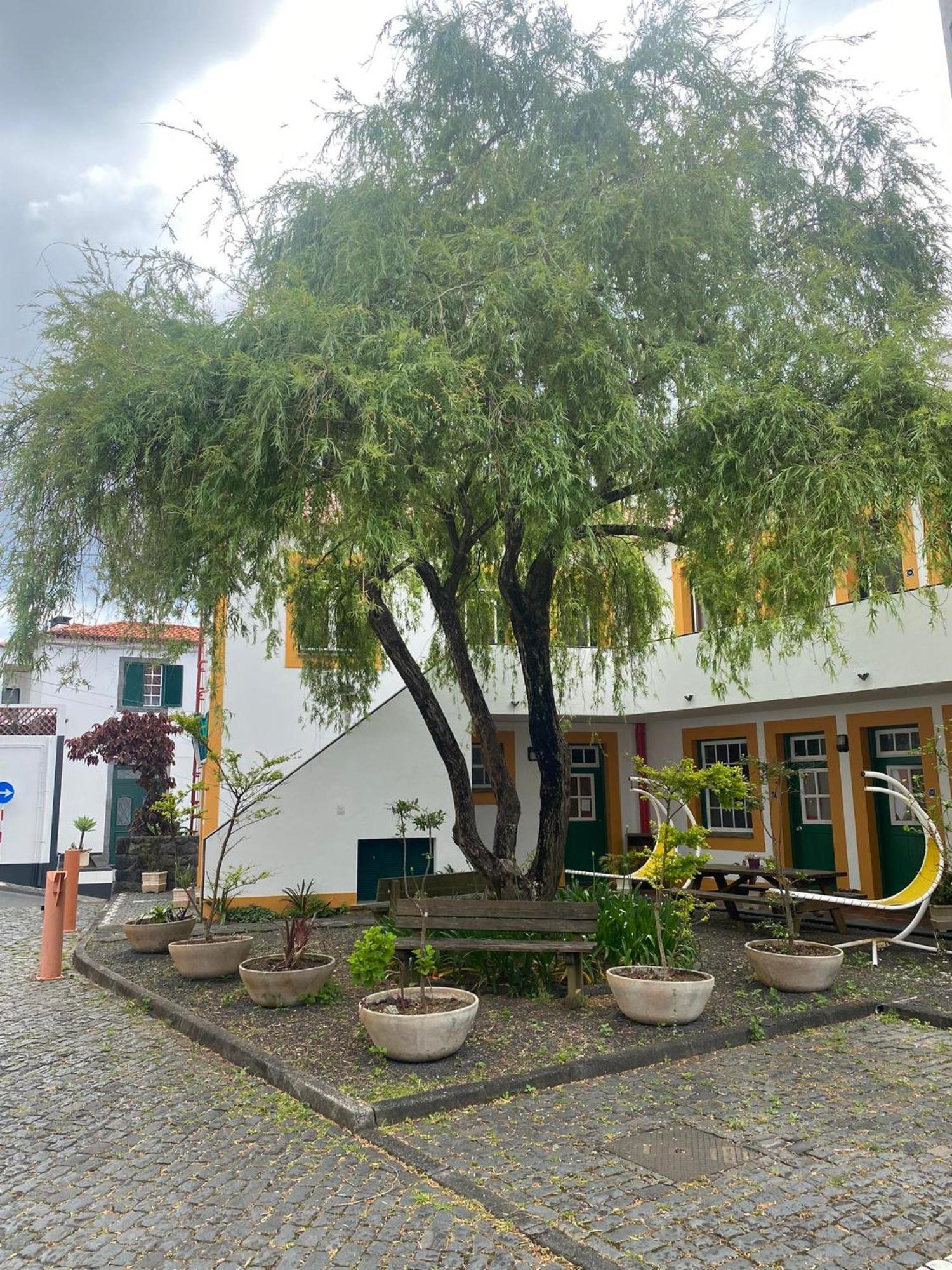 Hospedaria Verdemar Орта Екстериор снимка